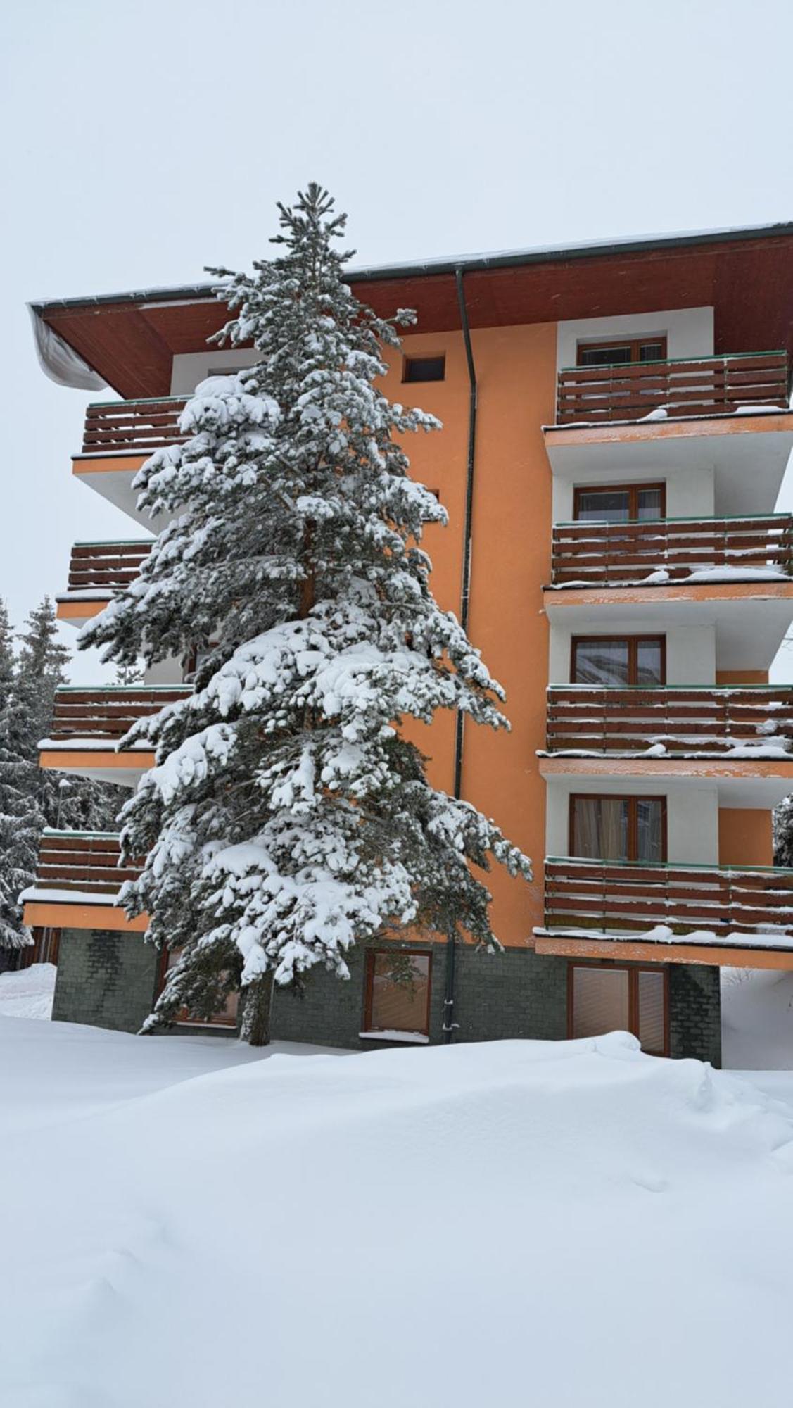 גולובינקה Apartman Palenica II מראה חיצוני תמונה